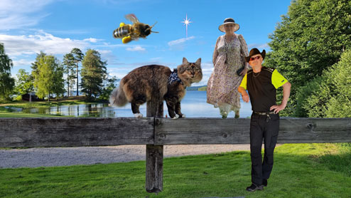 Julkort 2023